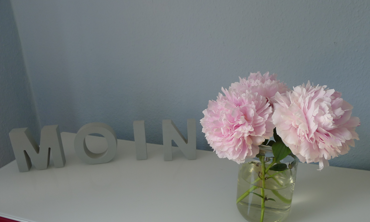 Villa Bootsybunt MOIN