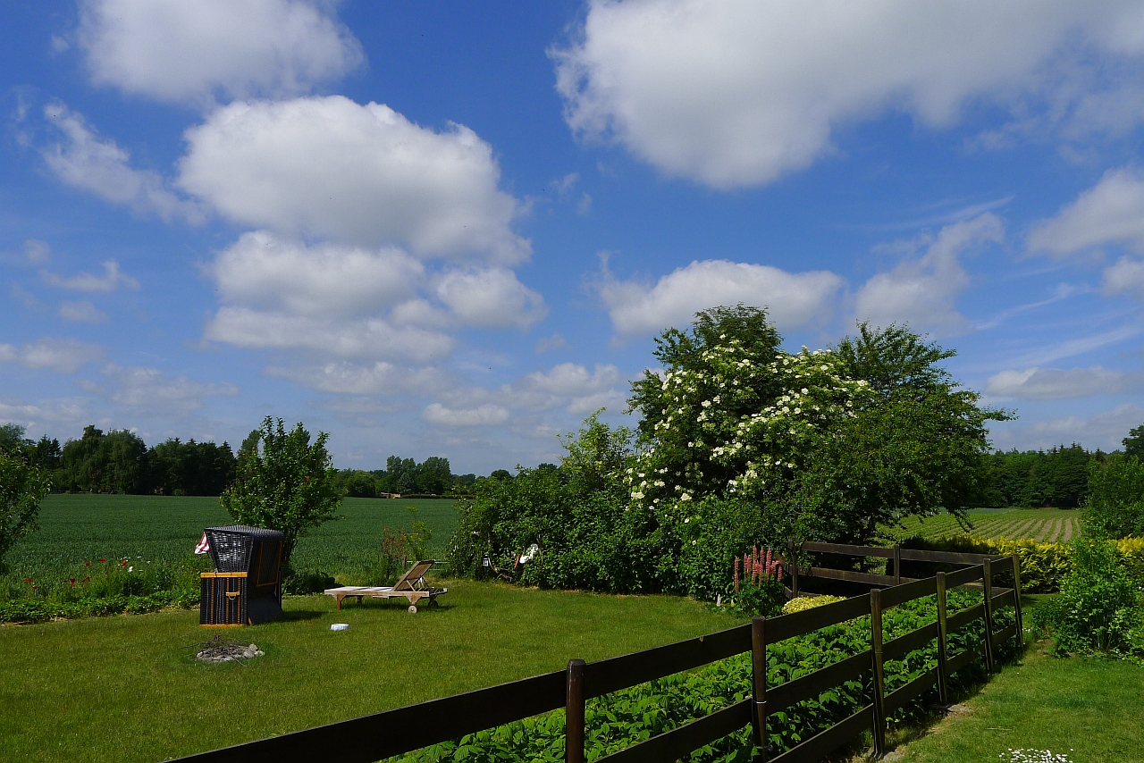 Villa Bootsybunt Wohnung Fritzi Garten