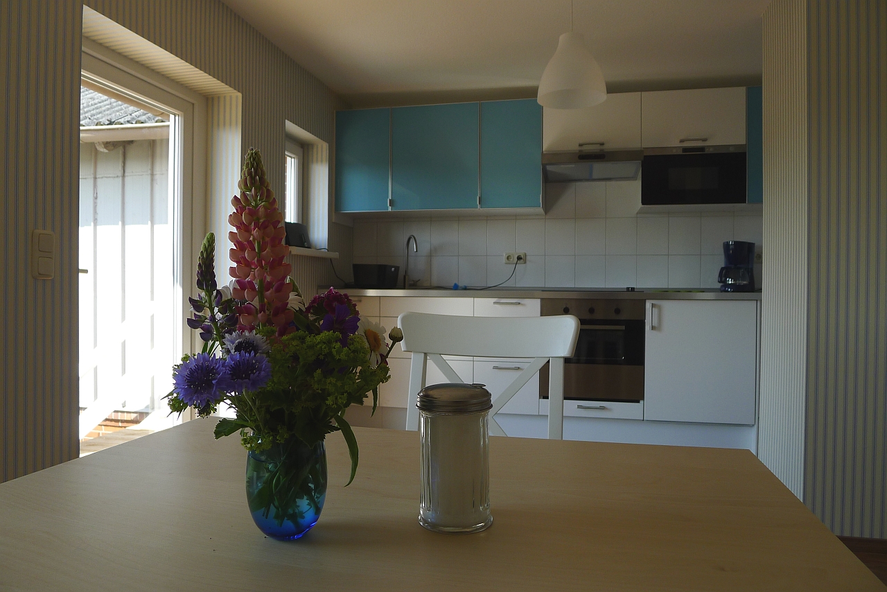 Villa Bootsybunt Wohnung Fritzi Küche